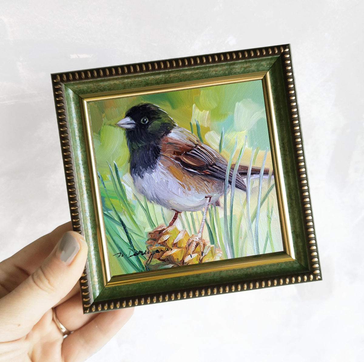 Bird oil painting 4x4 miniature paintings Dark-eyed junco
