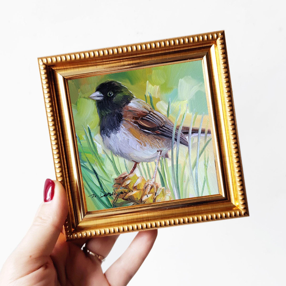 Bird oil painting 4x4 miniature paintings Dark-eyed junco