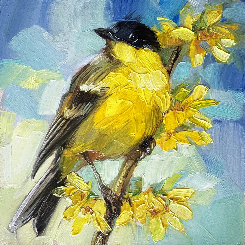 Original Art Yellow Warbler Bird Painting 4x4 inch