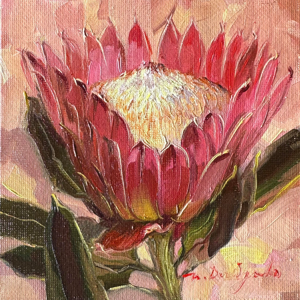 Protea oil painting original framed 5x5 inch