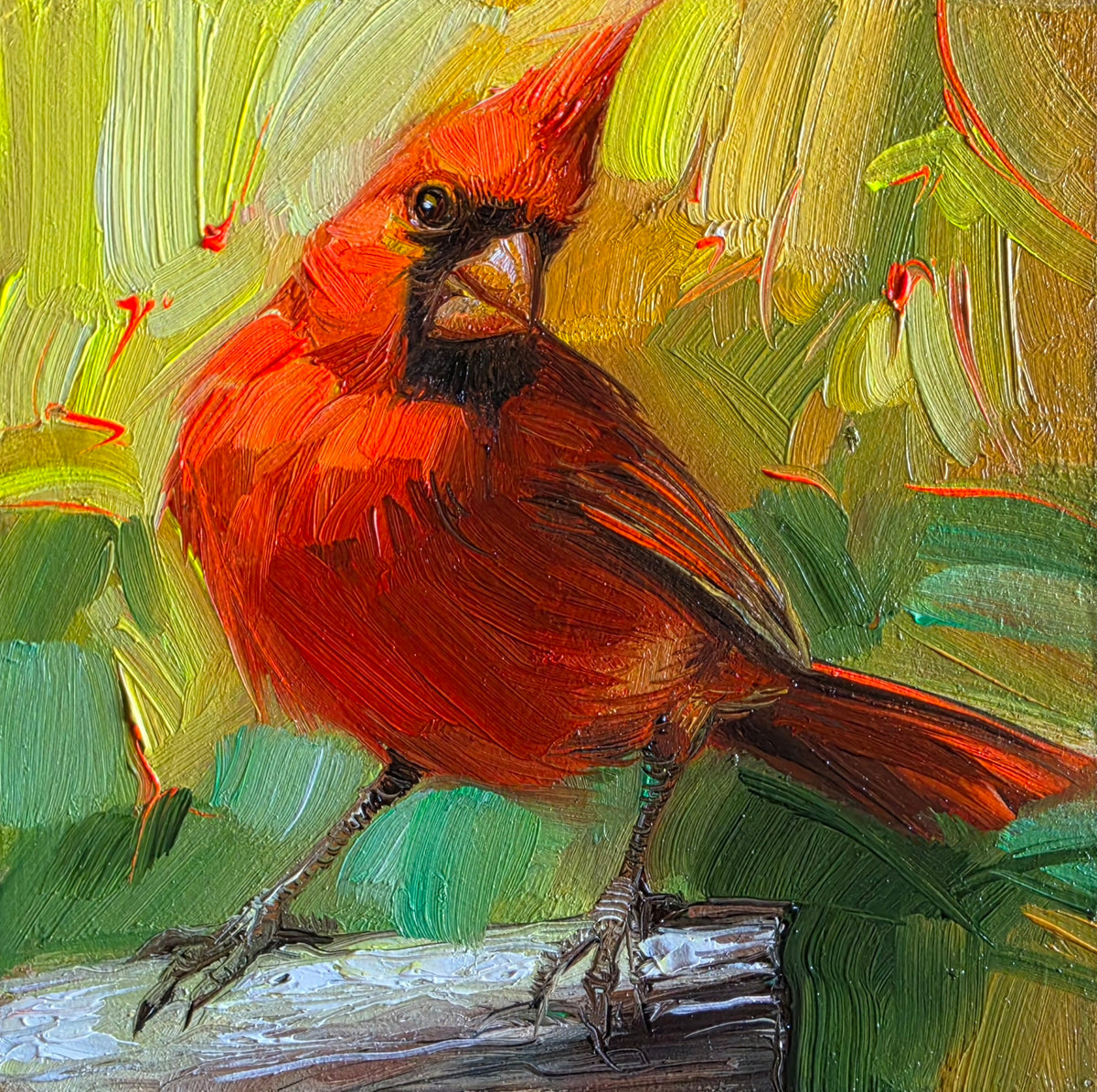 Cardinal bird oil painting original framed 4x4 in