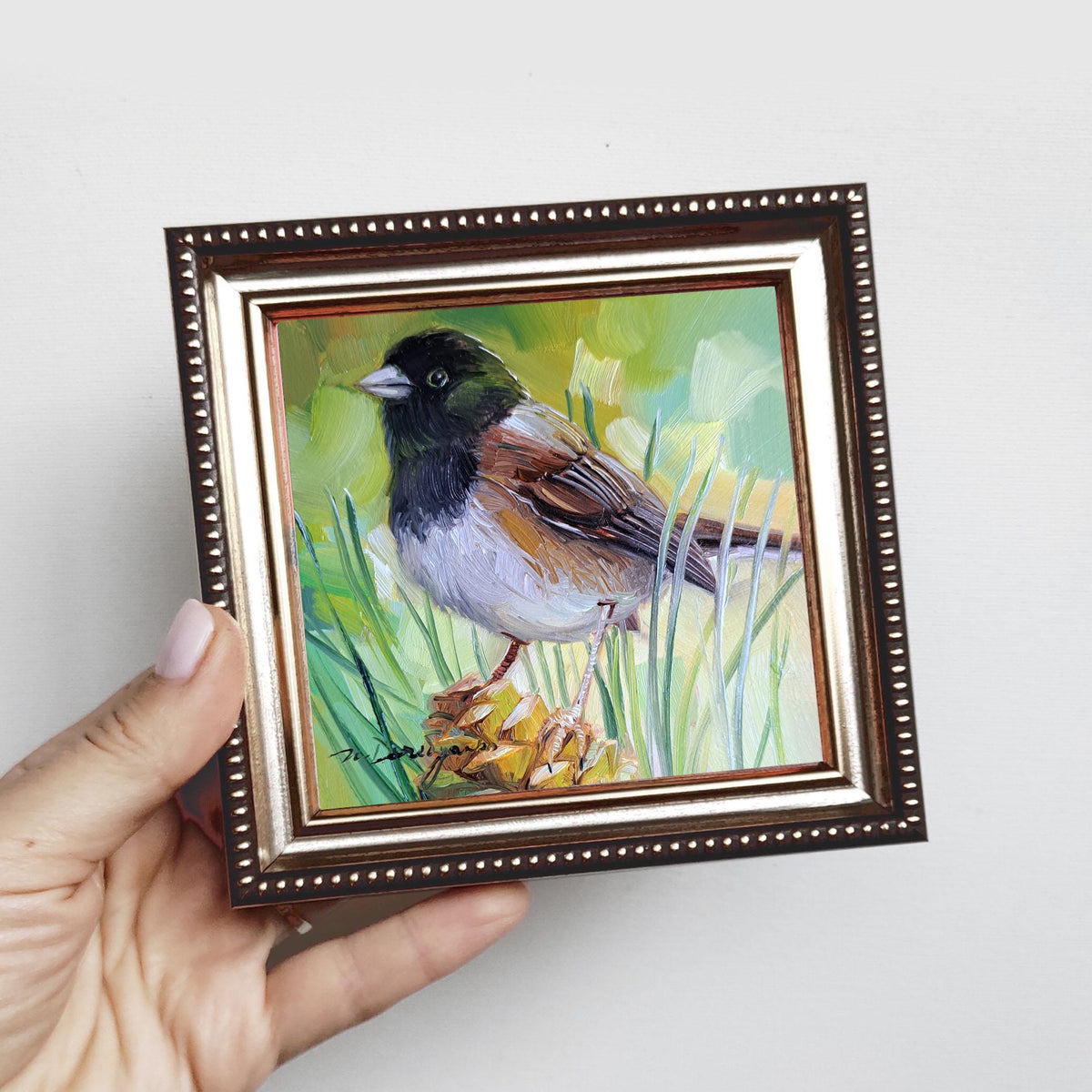 Bird oil painting 4x4 miniature paintings Dark-eyed junco