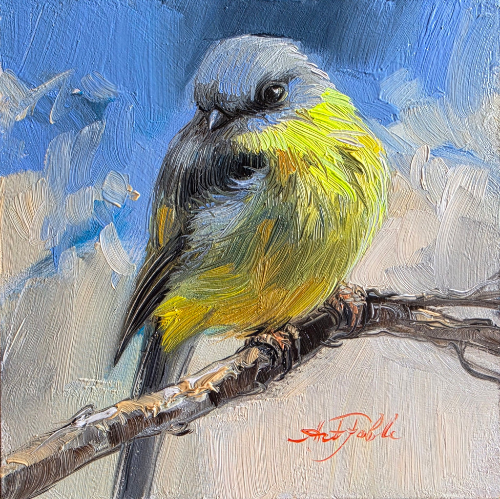 Original Art Estern Yellow Robin Bird Painting 4x4 in