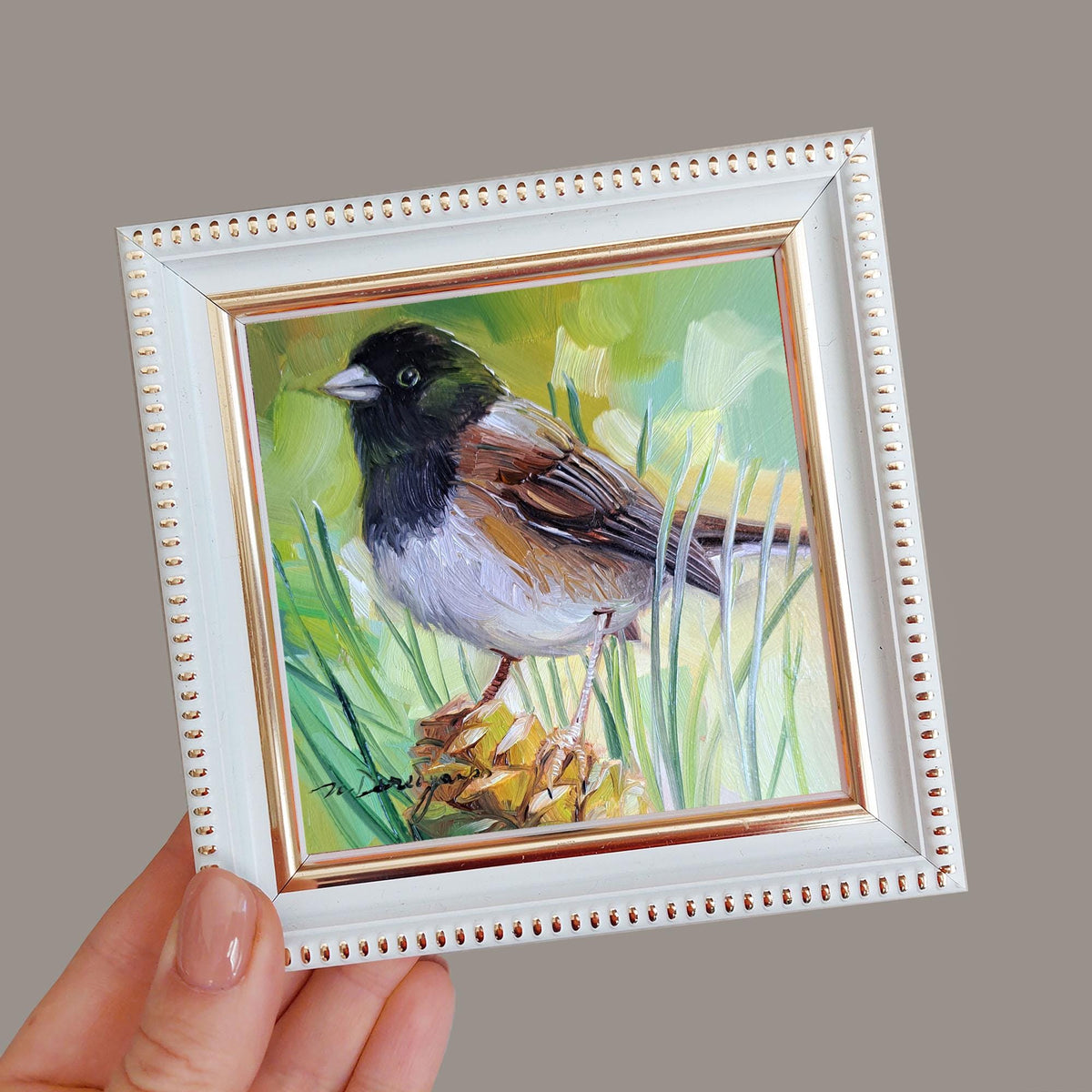 Bird oil painting 4x4 miniature paintings Dark-eyed junco