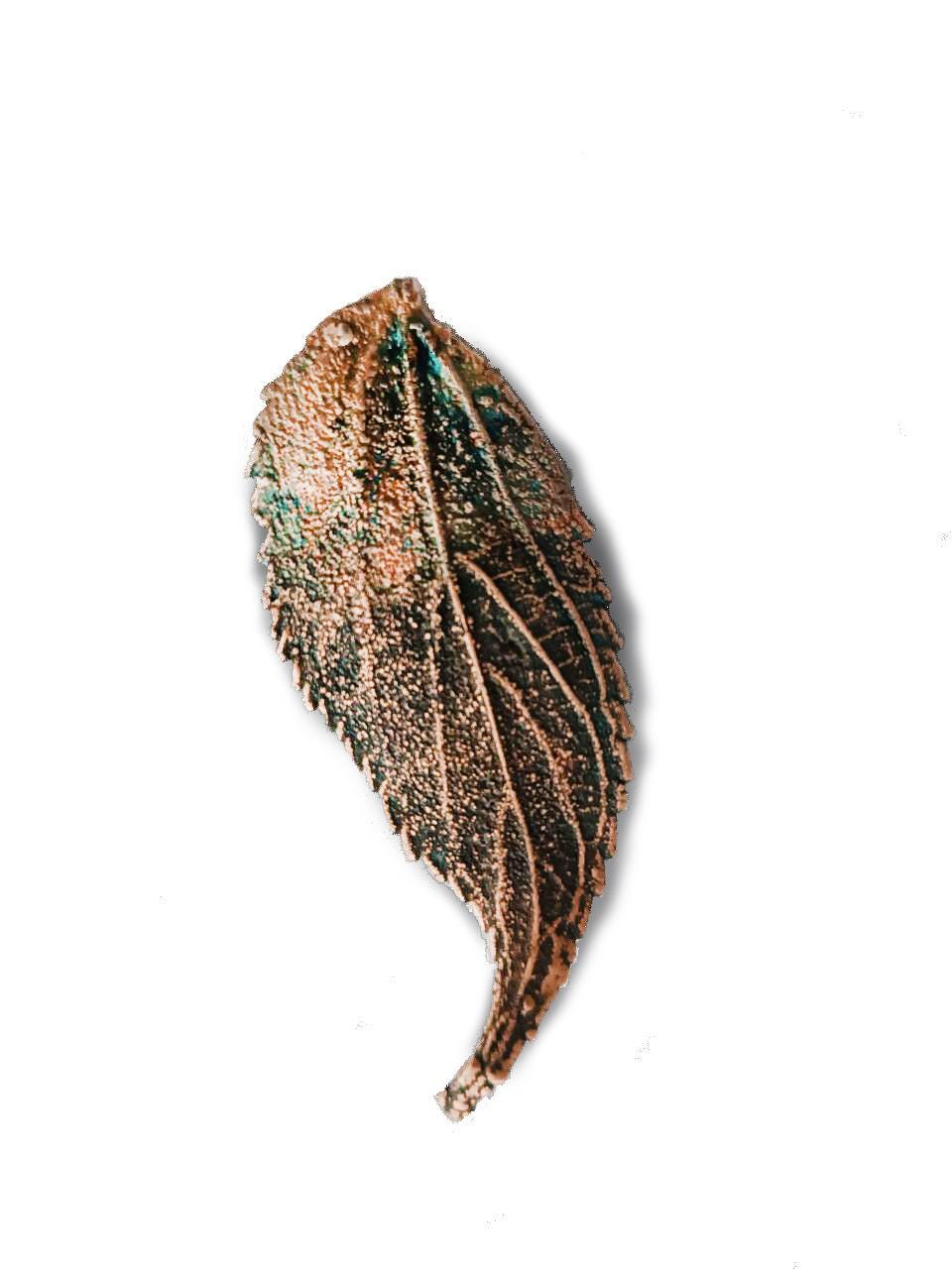 Brooch Electroformed Copper Leaf