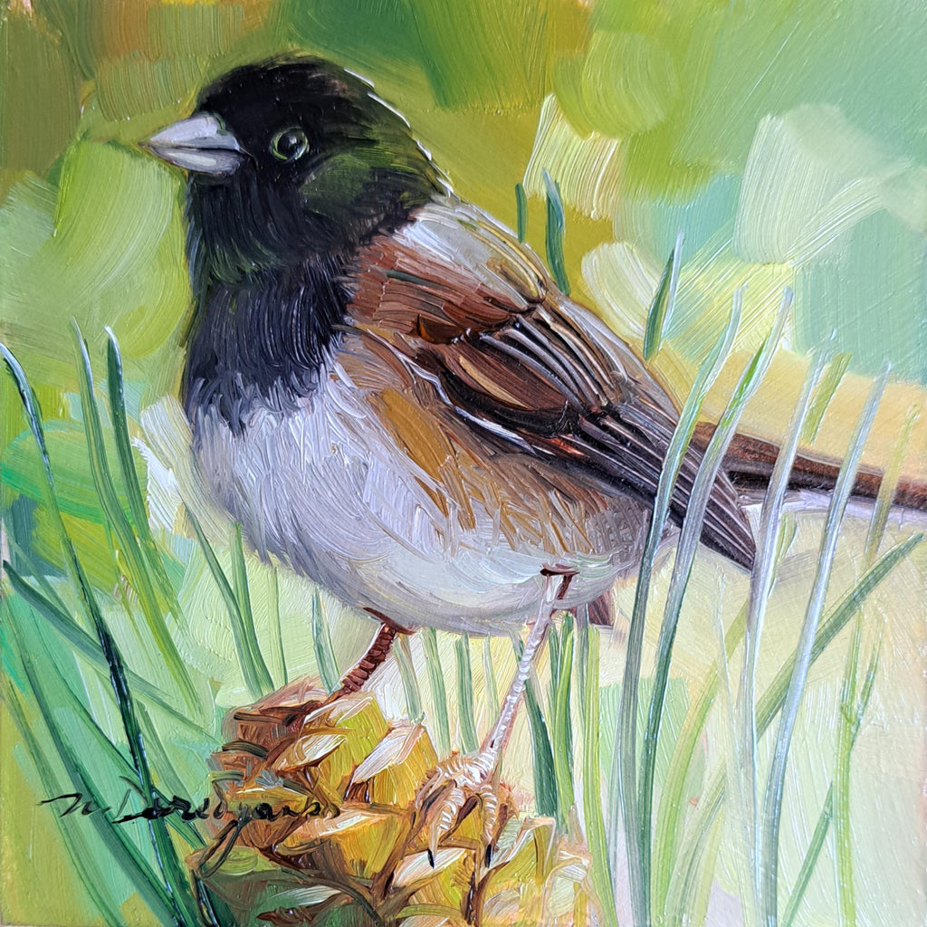 Bird oil painting 4x4 miniature paintings Dark-eyed junco