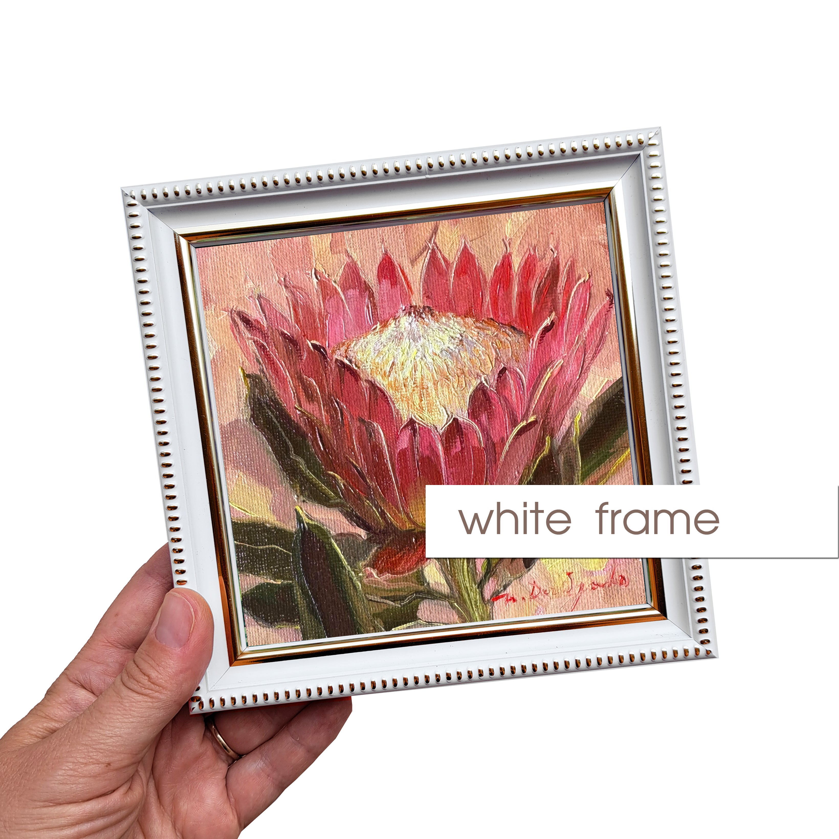Protea oil painting original framed 5x5 inch