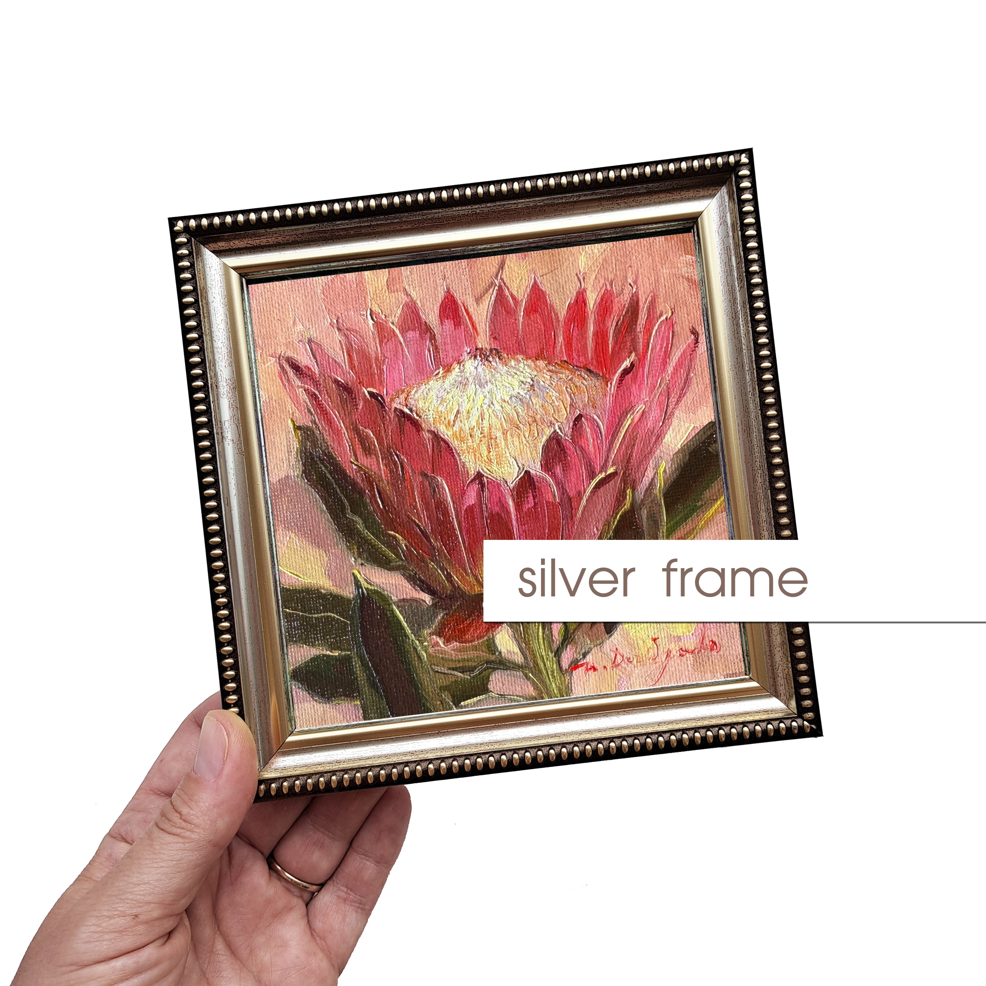 Protea oil painting original framed 5x5 inch