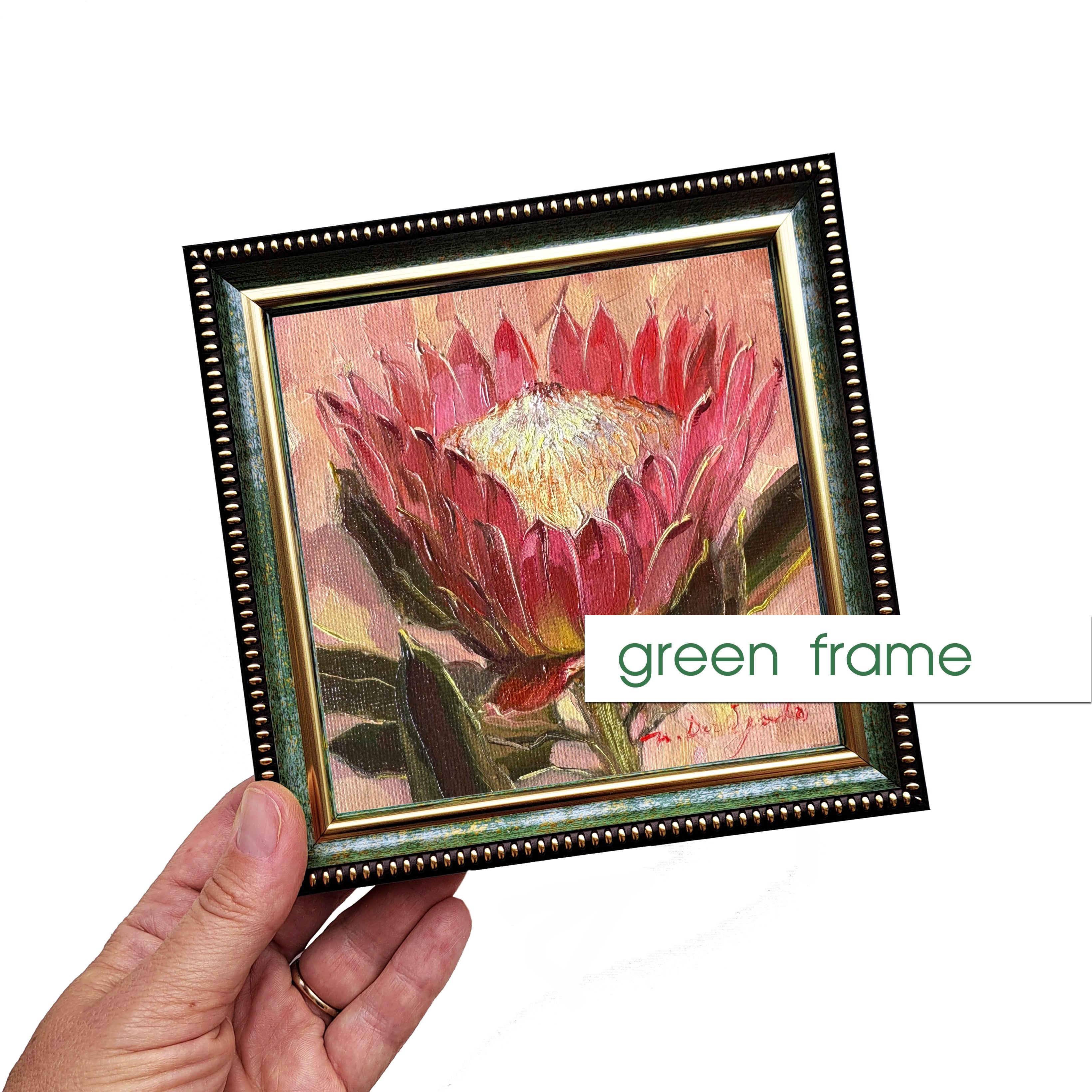 Protea oil painting original framed 5x5 inch