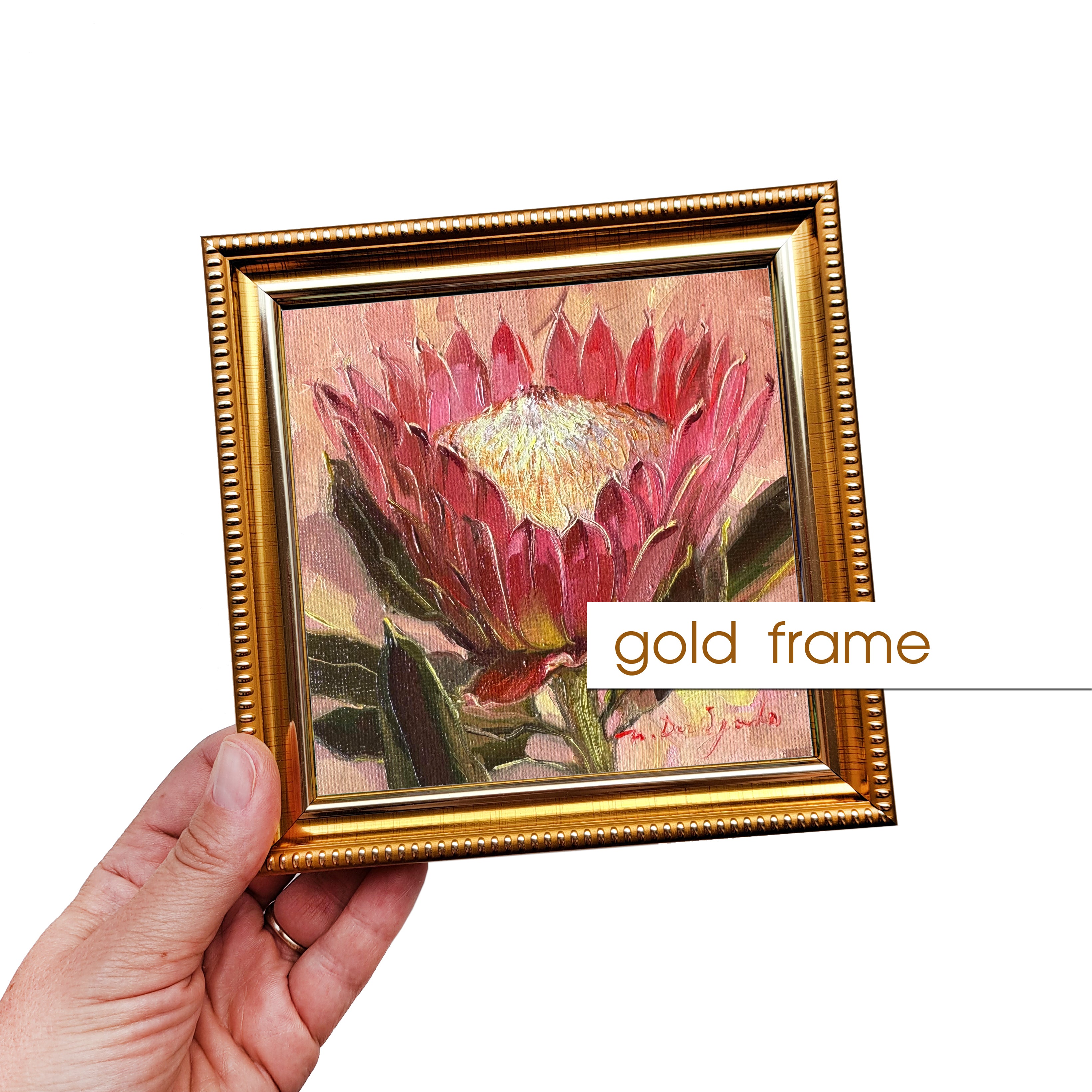 Protea oil painting original framed 5x5 inch