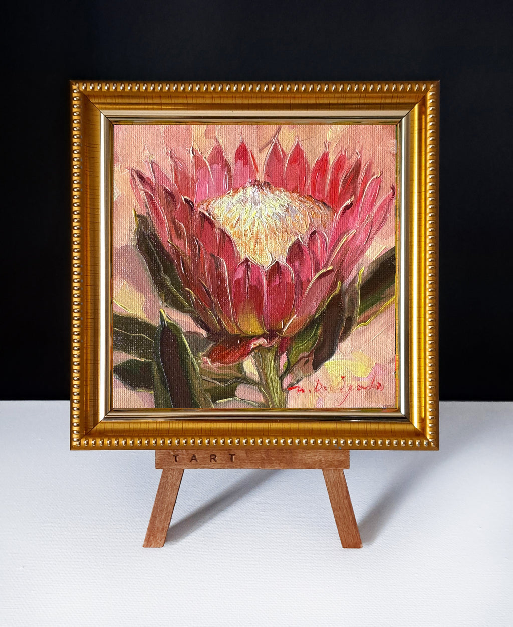 Protea oil painting original framed 5x5 inch