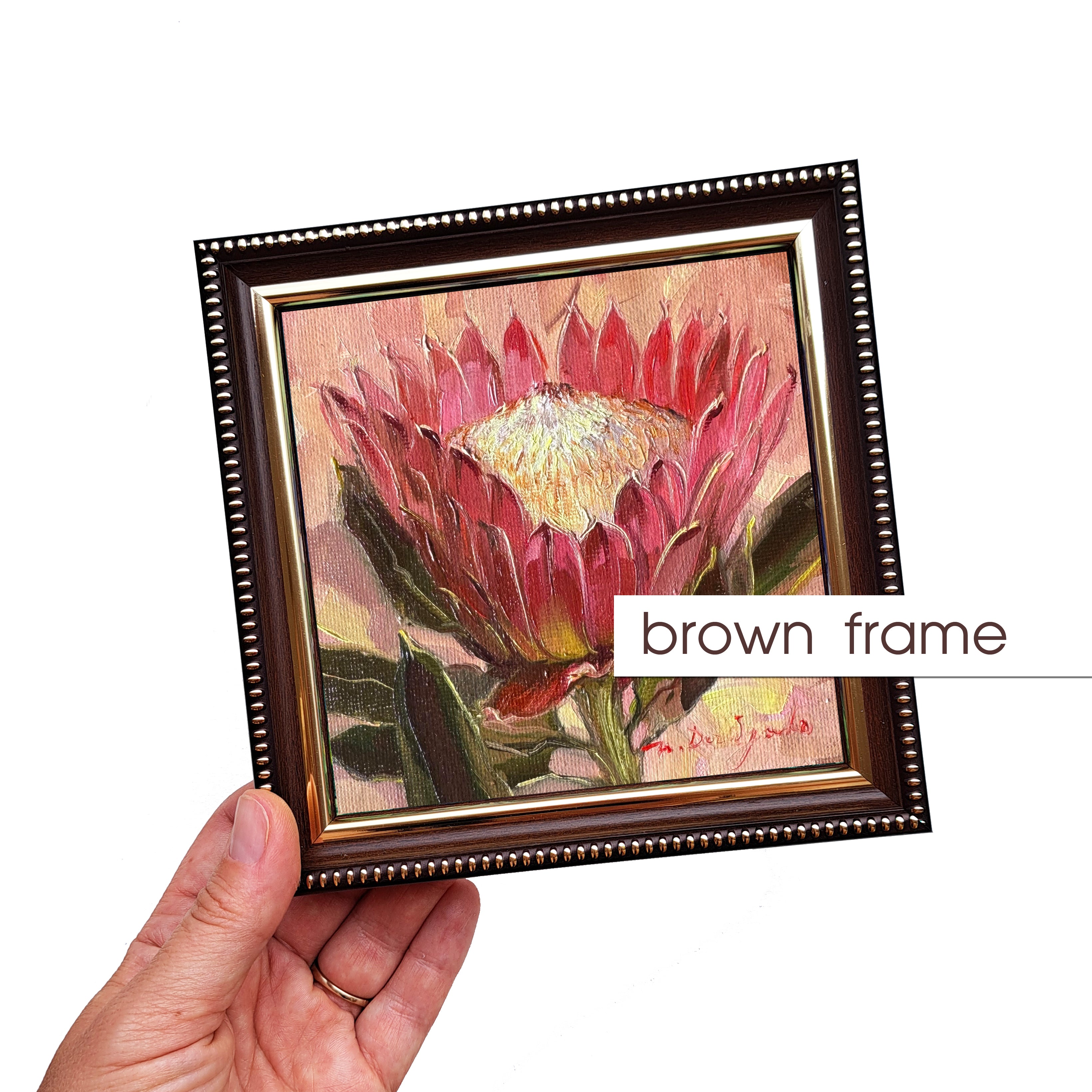 Protea oil painting original framed 5x5 inch